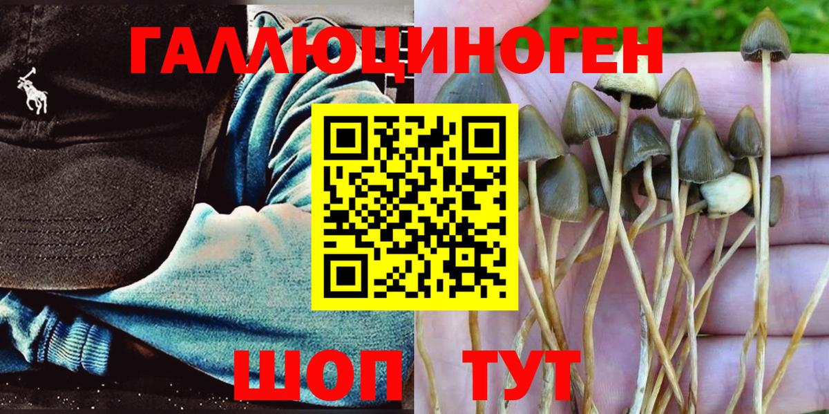 Галлюциногенные грибы мицелий  Вход с VPN  Крымск 